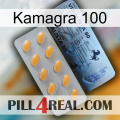 Kamagra 100 44